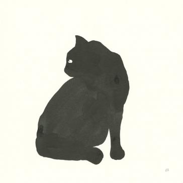 black cat iv